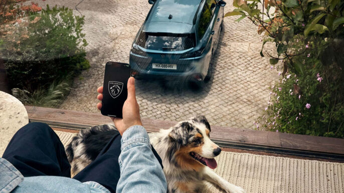 E308_SW_GALLERY_TECHNO_2_D_1920x1080_