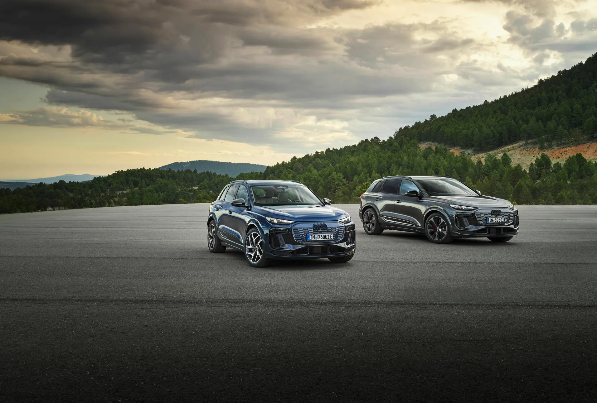 Q6 SUV e-tron